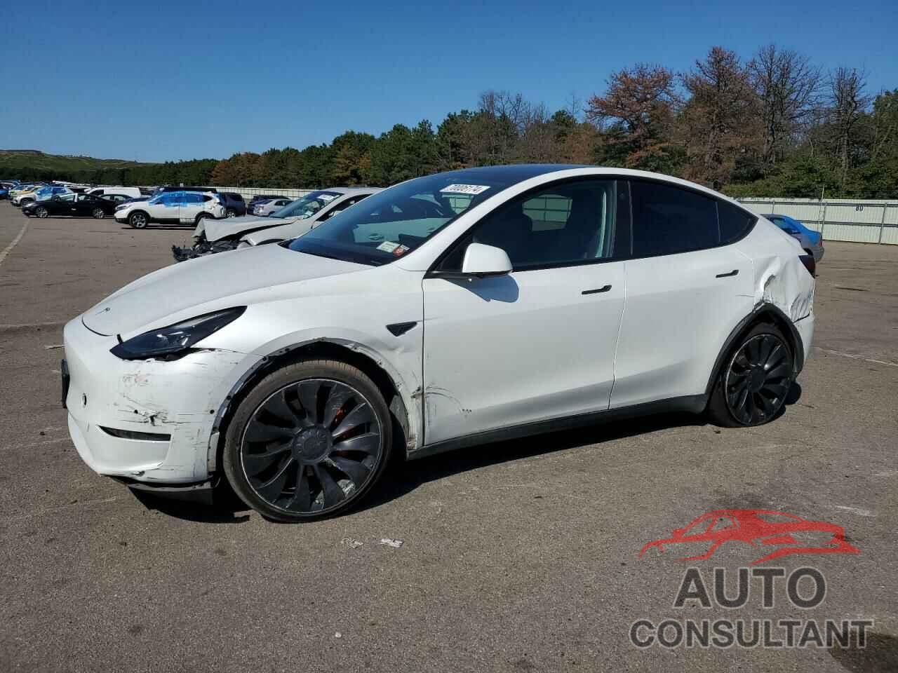 TESLA MODEL Y 2022 - 7SAYGDEF3NF537332