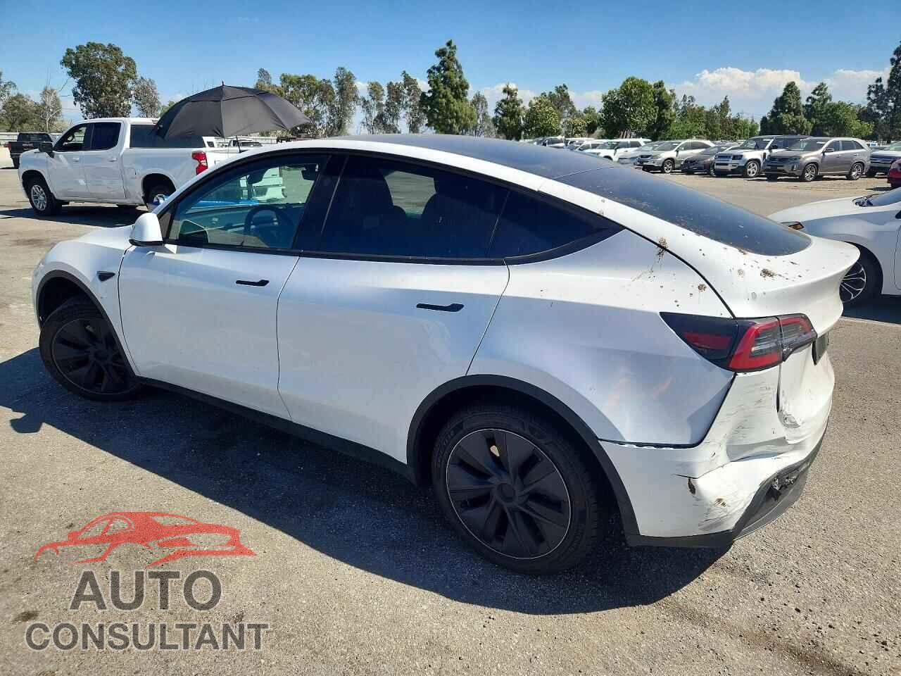 TESLA MODEL Y 2024 - 7SAYGDEE8RF114582