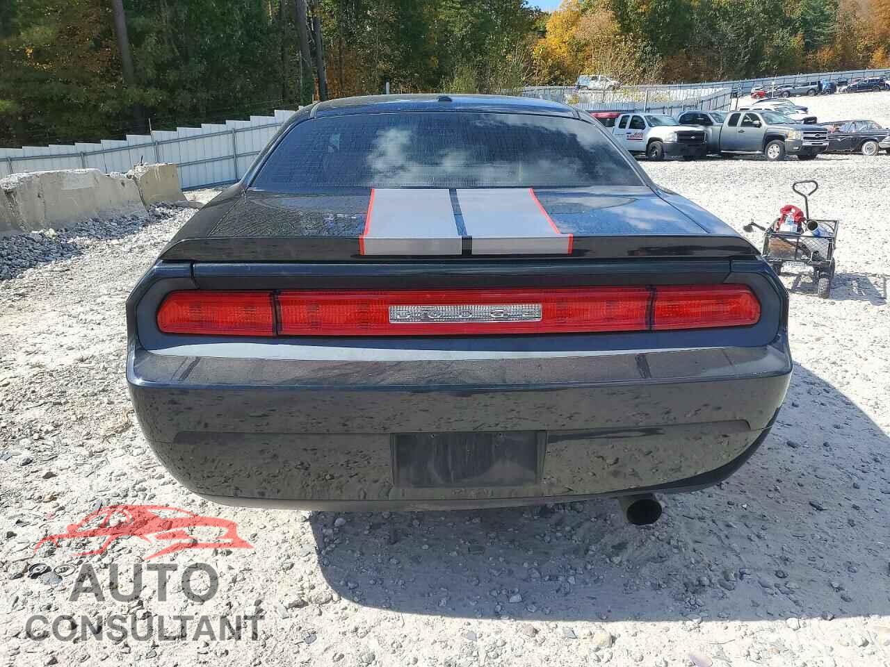 DODGE CHALLENGER 2010 - 2B3CJ4DV3AH102771