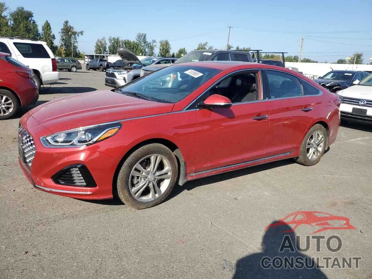HYUNDAI SONATA 2019 - 5NPE34AF0KH821970