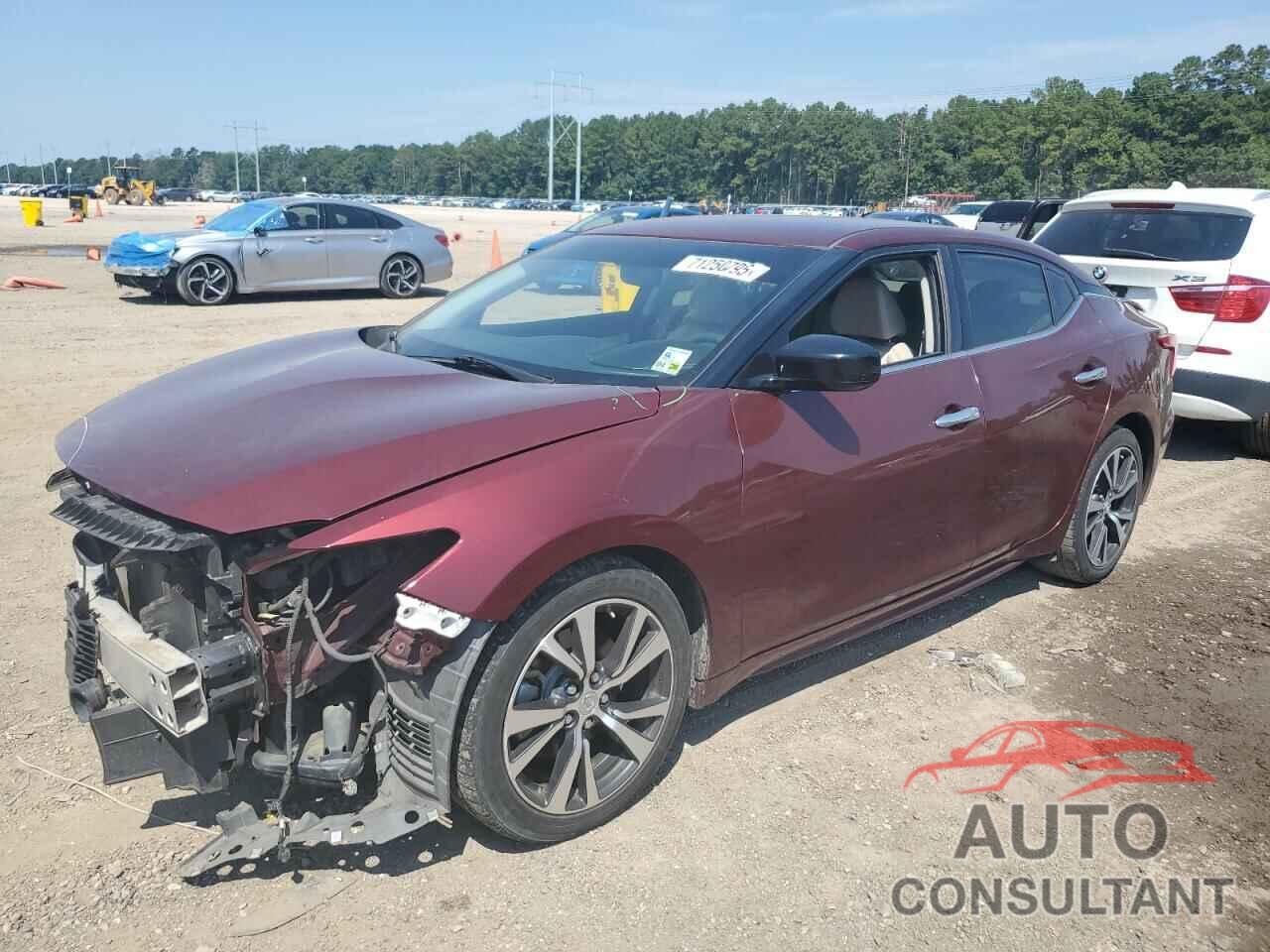 NISSAN MAXIMA 2016 - 1N4AA6AP8GC398153