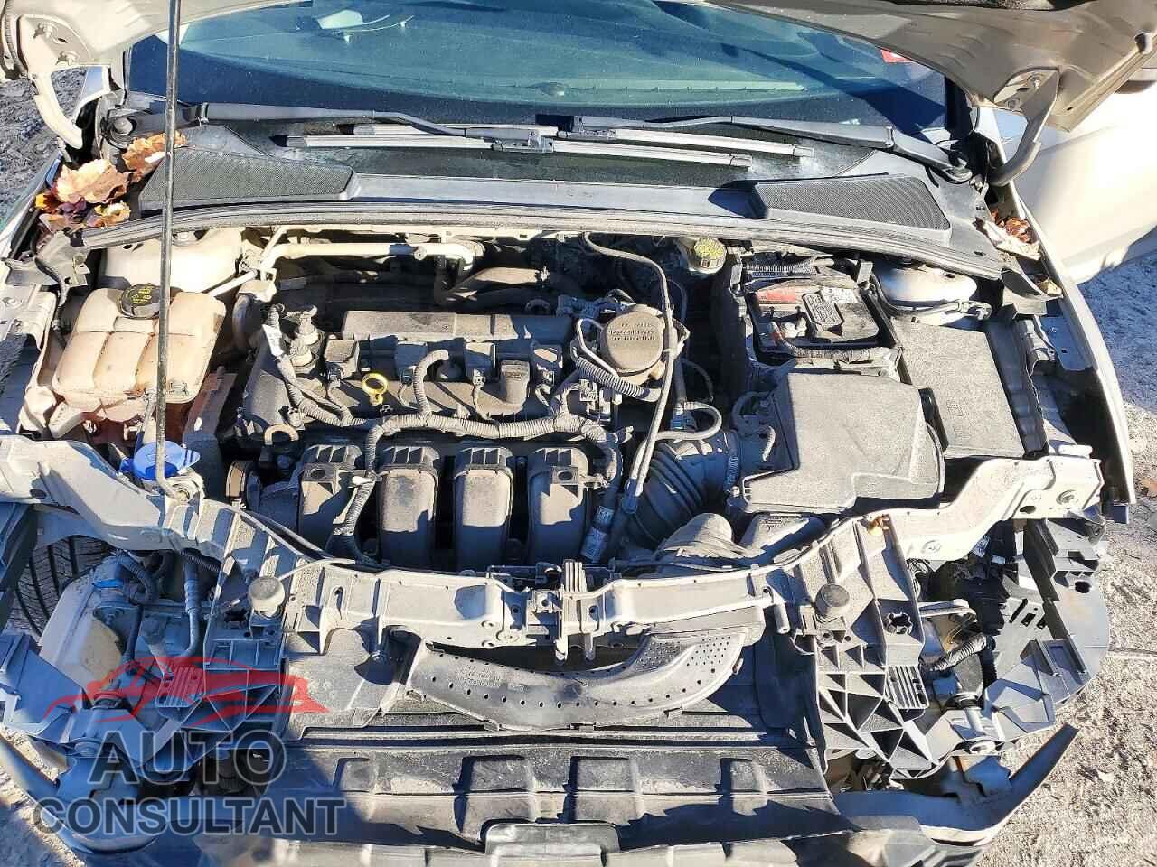 FORD FOCUS 2016 - 1FADP3F23GL292085