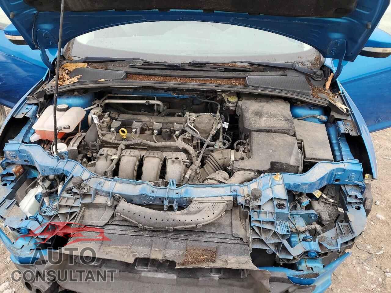 FORD FOCUS 2015 - 1FADP3K20FL328593