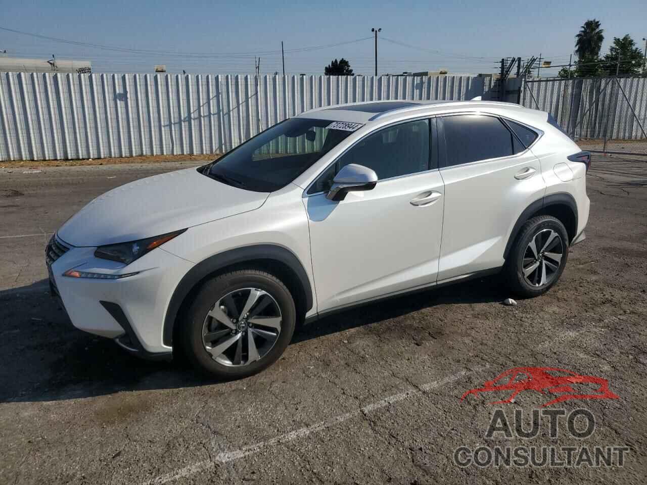 LEXUS NX 2020 - JTJDARBZ2L5005381