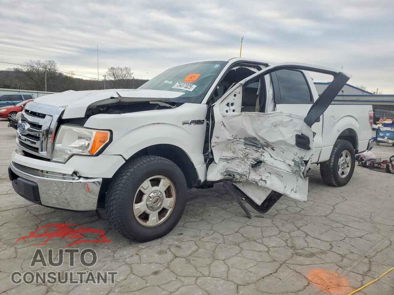 FORD F-150 2009 - 1FTRW12829FB19242