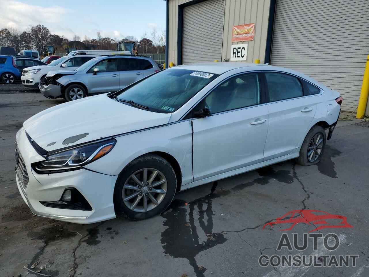 HYUNDAI SONATA 2019 - 5NPE24AF7KH775038