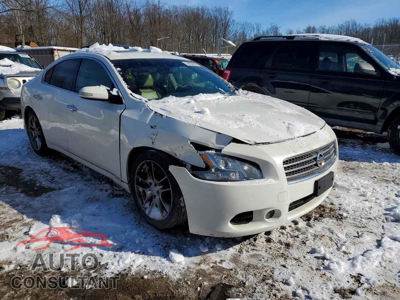 NISSAN MAXIMA 2010 - 1N4AA5AP5AC854725