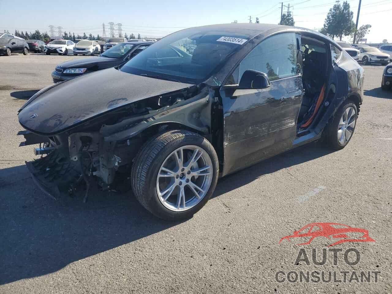 TESLA MODEL Y 2024 - 7SAYGDEE5RA231369