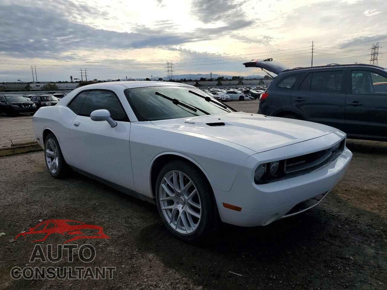 DODGE CHALLENGER 2014 - 2C3CDYBT0EH101358