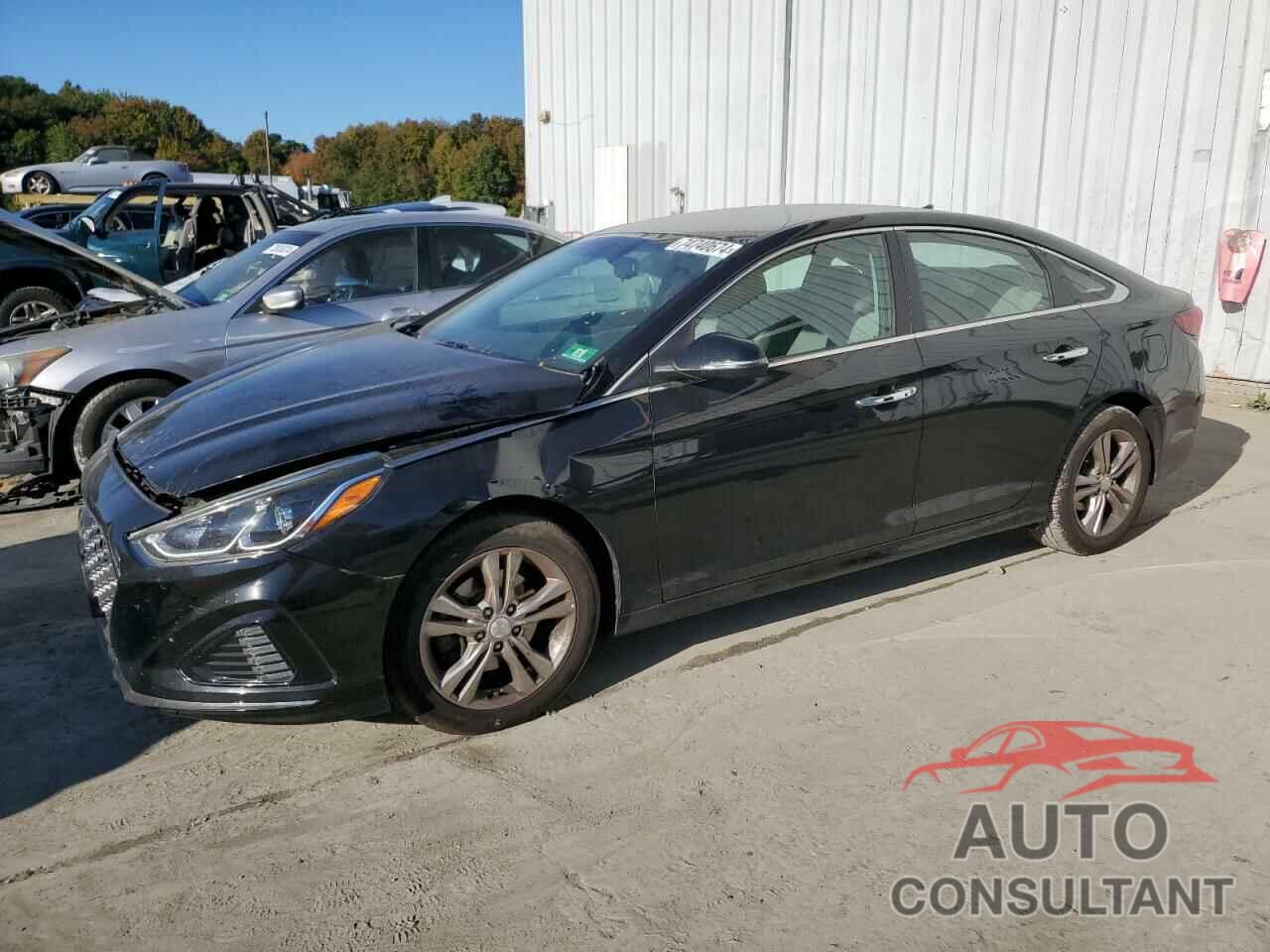 HYUNDAI SONATA 2019 - 5NPE34AF2KH771721