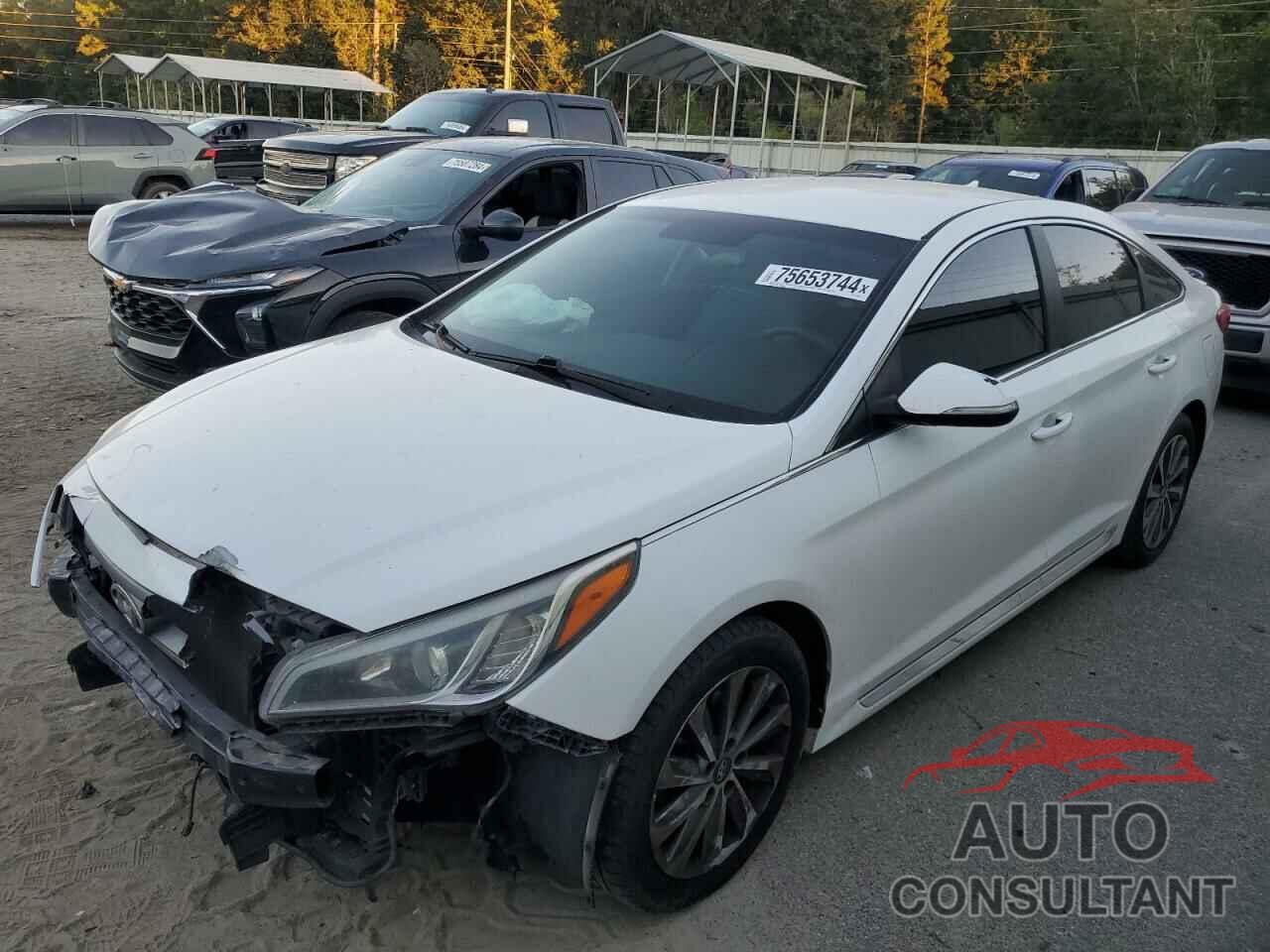 HYUNDAI SONATA 2016 - 5NPE34AF5GH314604