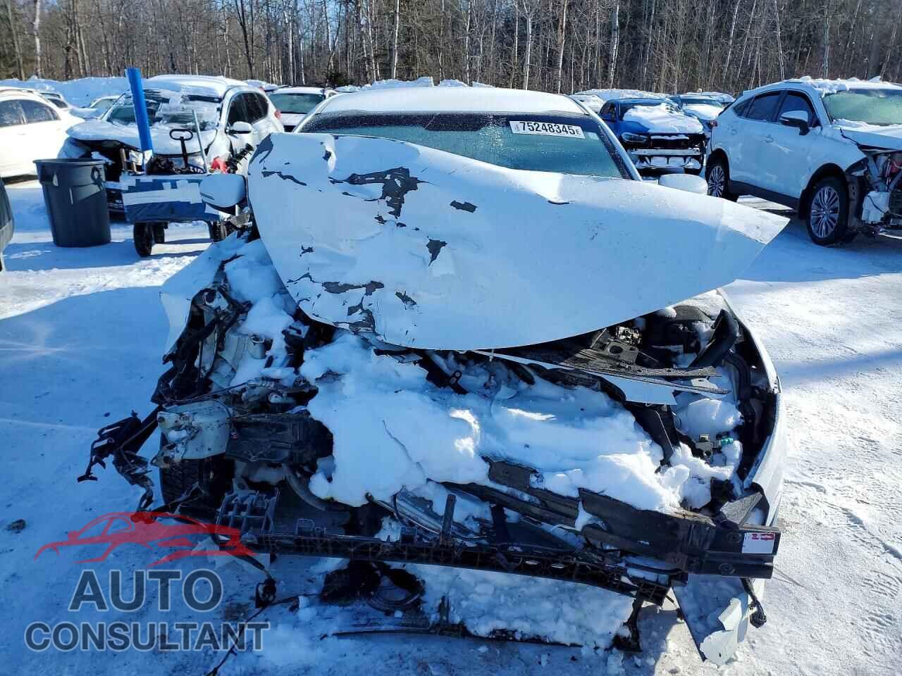 KIA OPTIMA 2015 - KNAGM4A79F5622028
