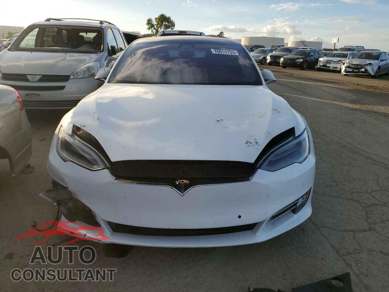 TESLA MODEL S 2019 - 5YJSA1E49KF312183