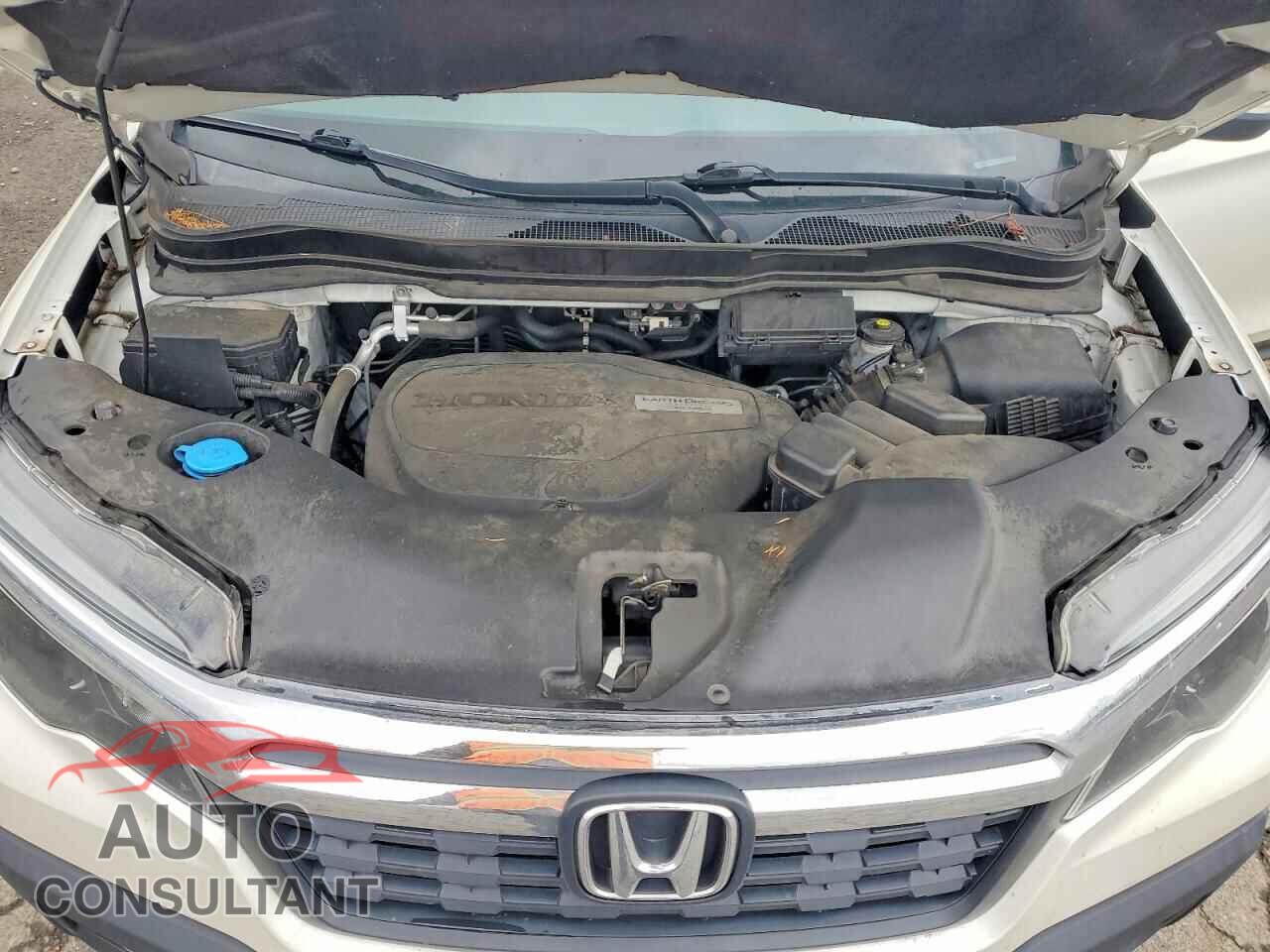 HONDA RIDGELINE 2019 - 5FPYK3F6XKB011237
