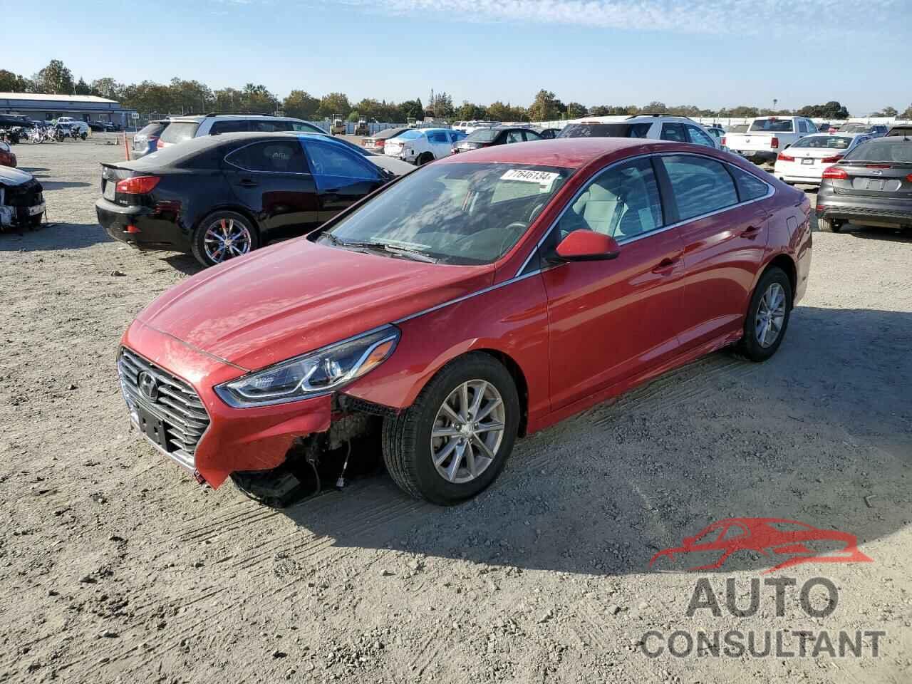 HYUNDAI SONATA 2019 - 5NPE24AF2KH777425