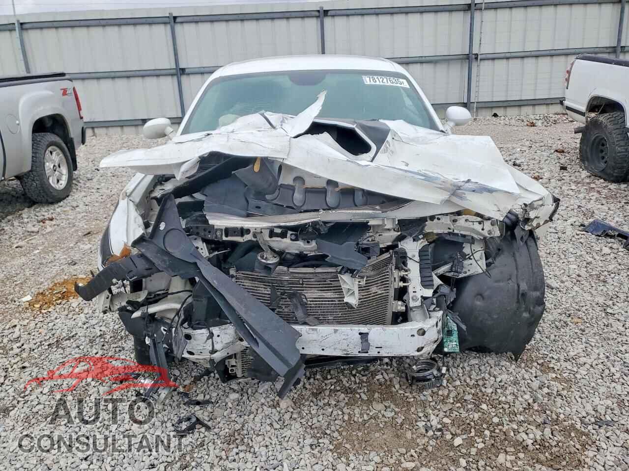 DODGE CHALLENGER 2019 - 2C3CDZBT6KH677067