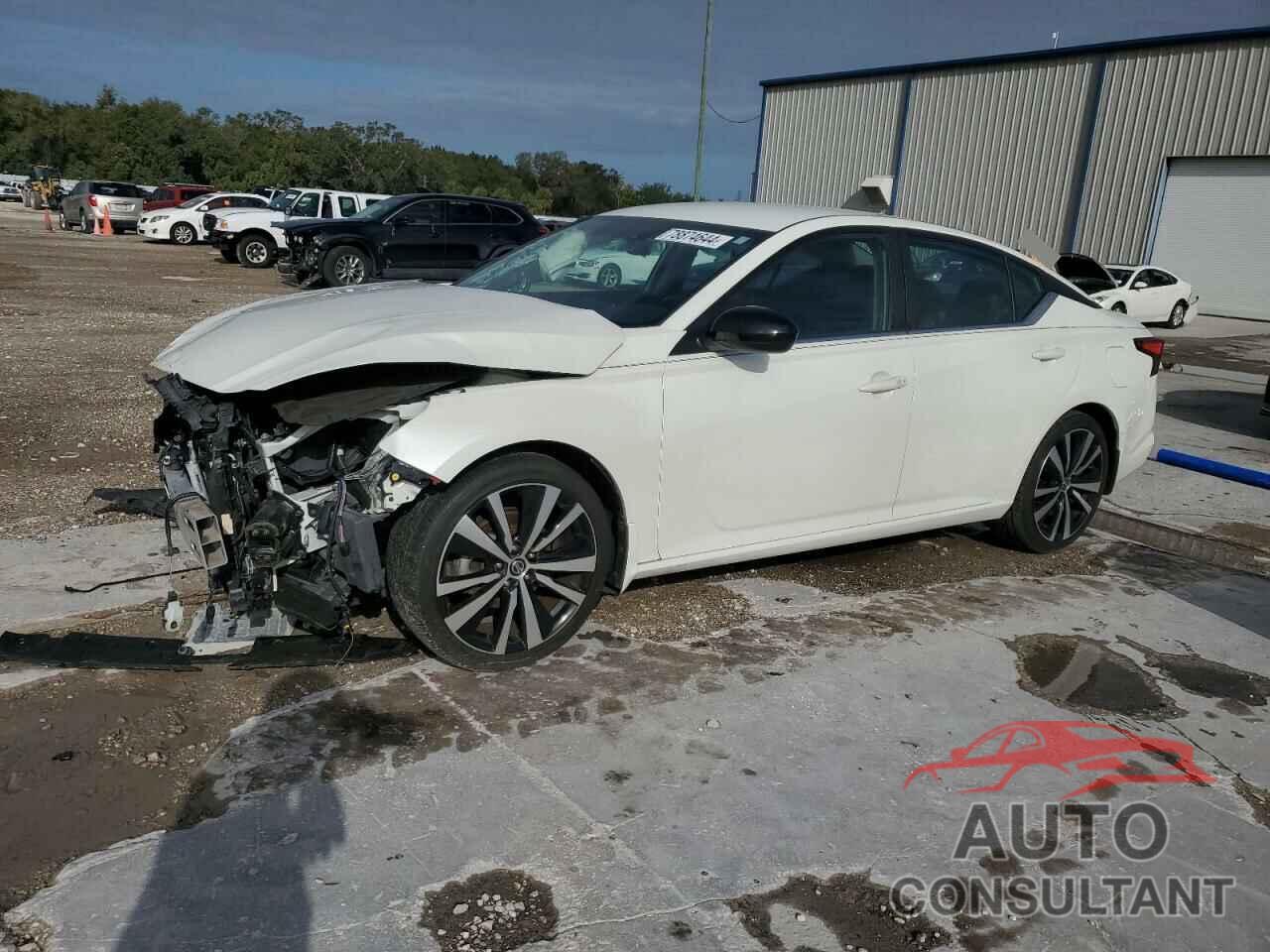 NISSAN ALTIMA 2019 - 1N4BL4CV8KC118268