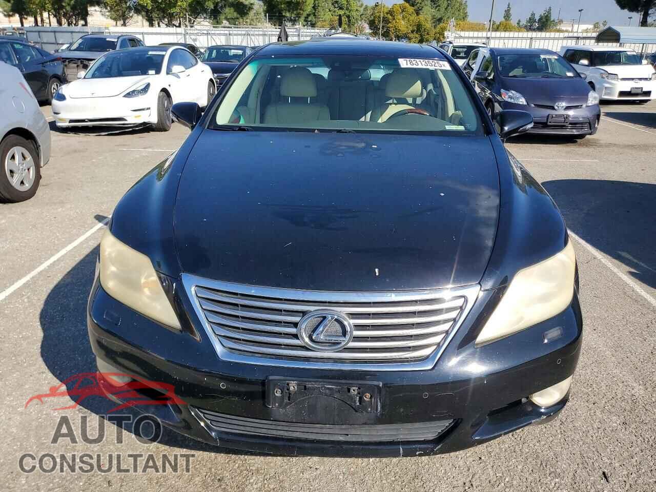 LEXUS LS460 2010 - JTHBL5EF2A5095139
