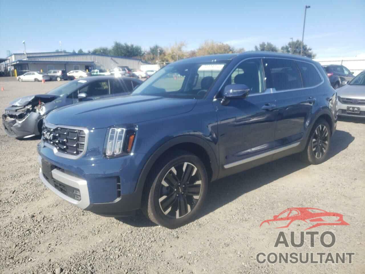 KIA TELLURIDE 2024 - 5XYP5DGC8RG567118