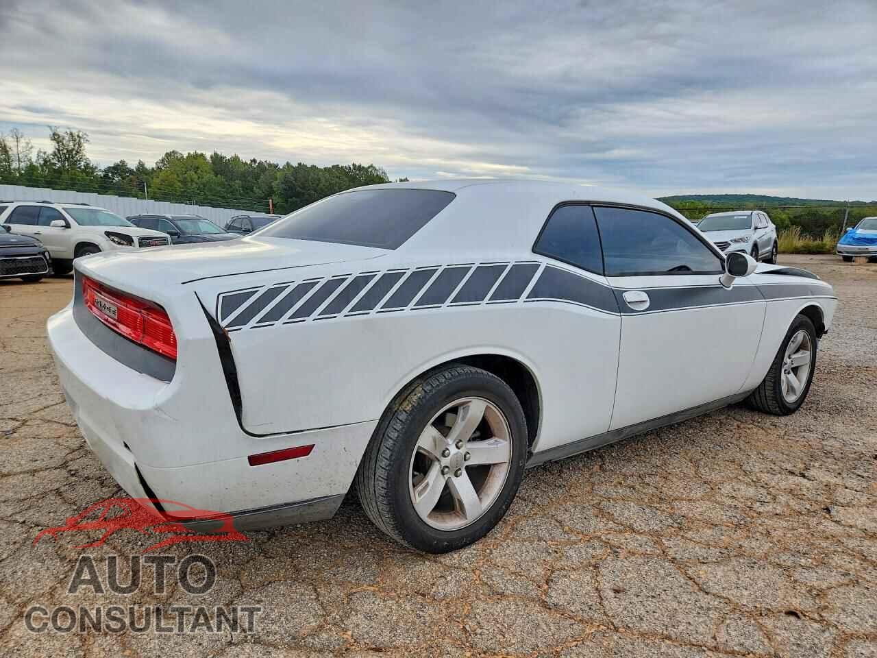 DODGE CHALLENGER 2013 - 2C3CDYAG8DH581412