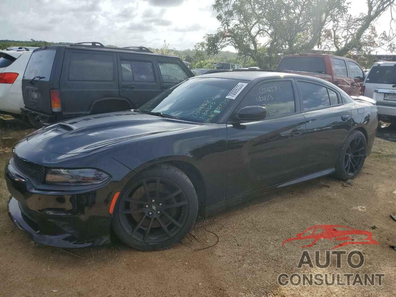 DODGE CHARGER 2017 - 2C3CDXGJ2HH542253