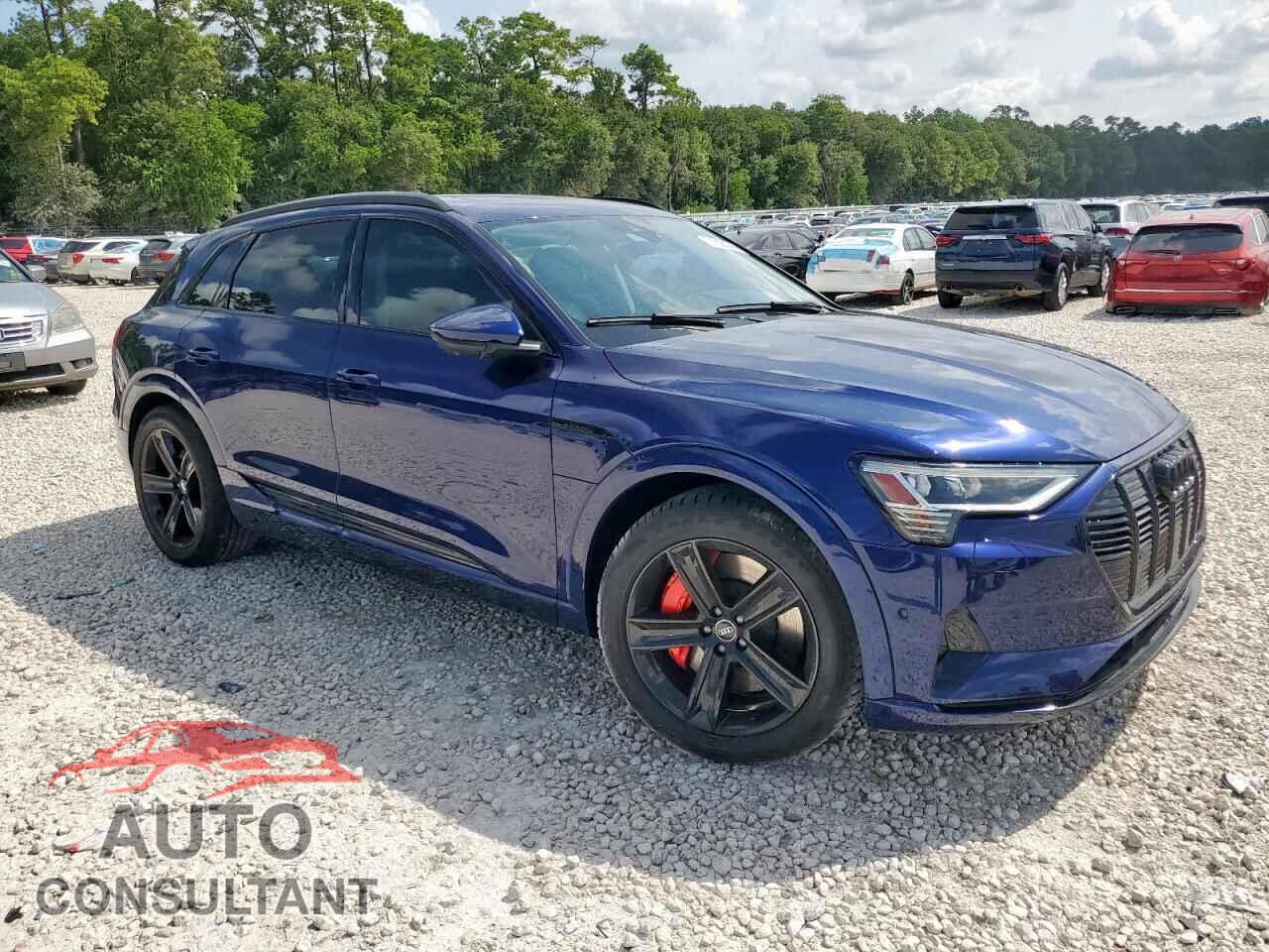 AUDI E-TRON 2021 - WA1AAAGE1MB008976