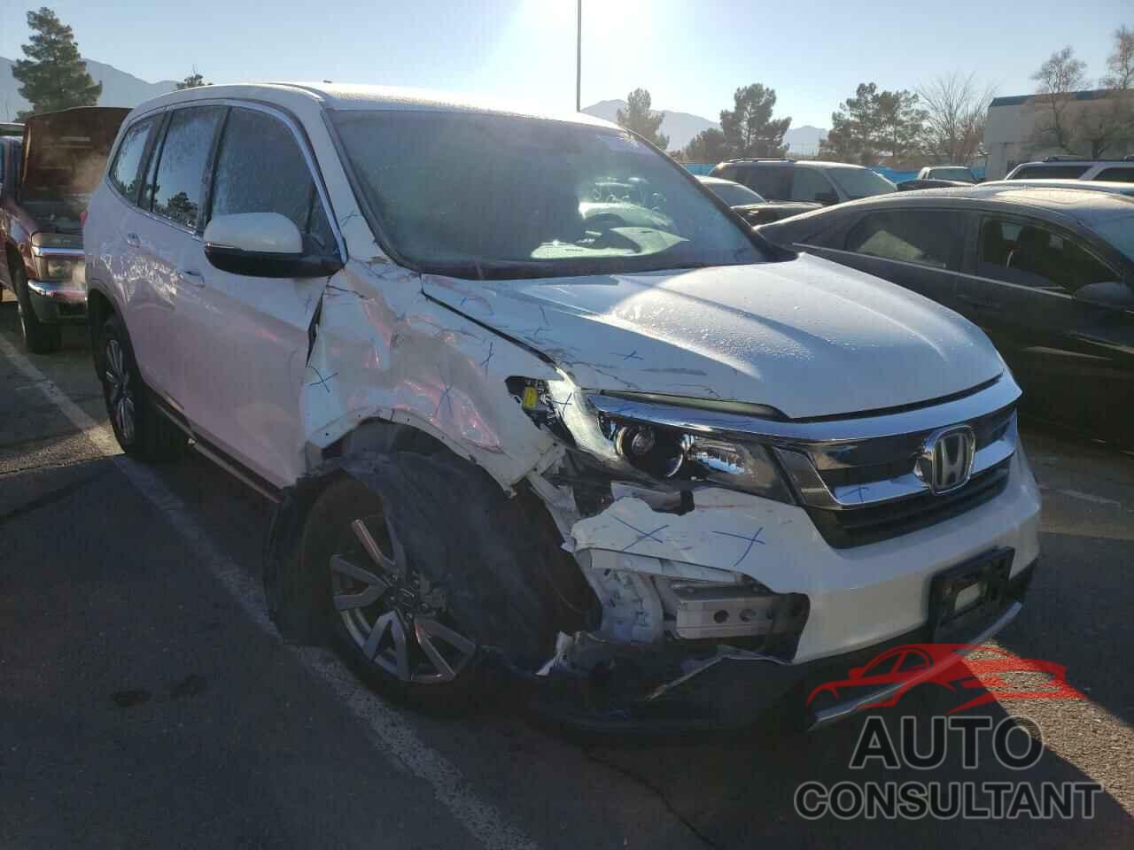 HONDA PILOT 2019 - 5FNYF5H37KB023809