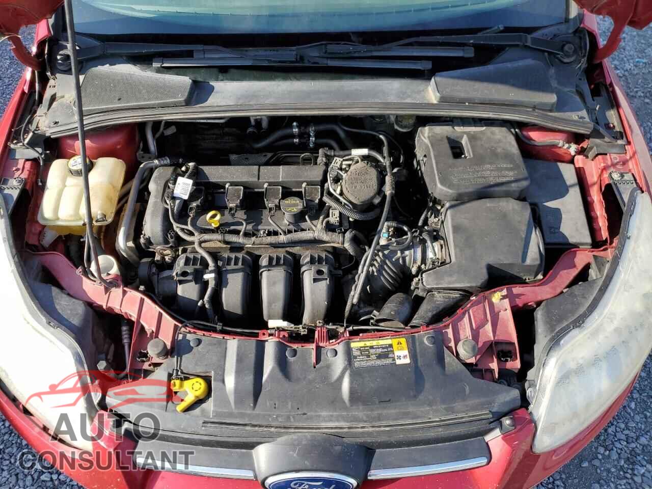 FORD FOCUS 2012 - 1FAHP3F24CL125908