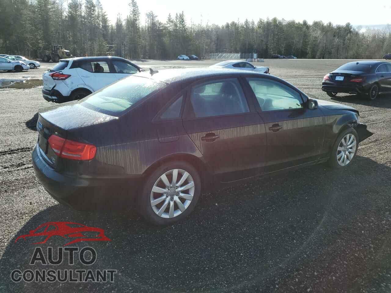 AUDI A4 2010 - WAUBFCFL3AN009187