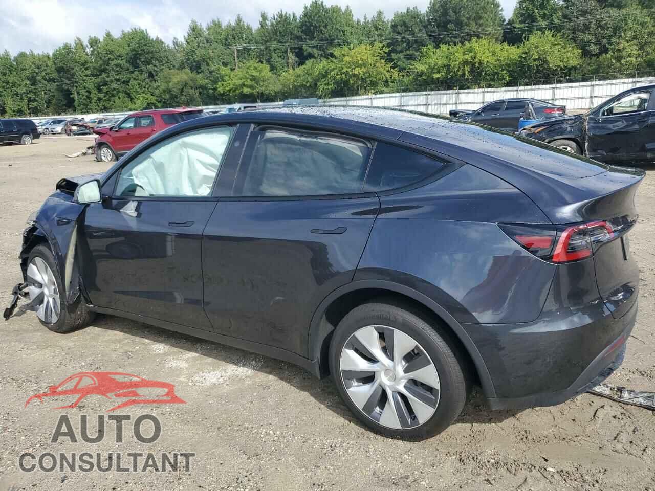 TESLA MODEL Y 2024 - 7SAYGAEE5RF089252