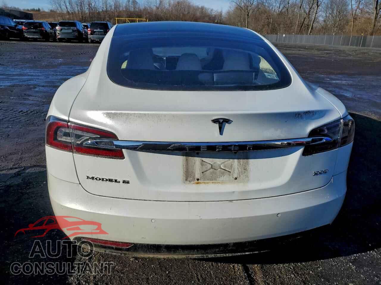 TESLA MODEL S 2017 - 5YJSA1E21HF200260