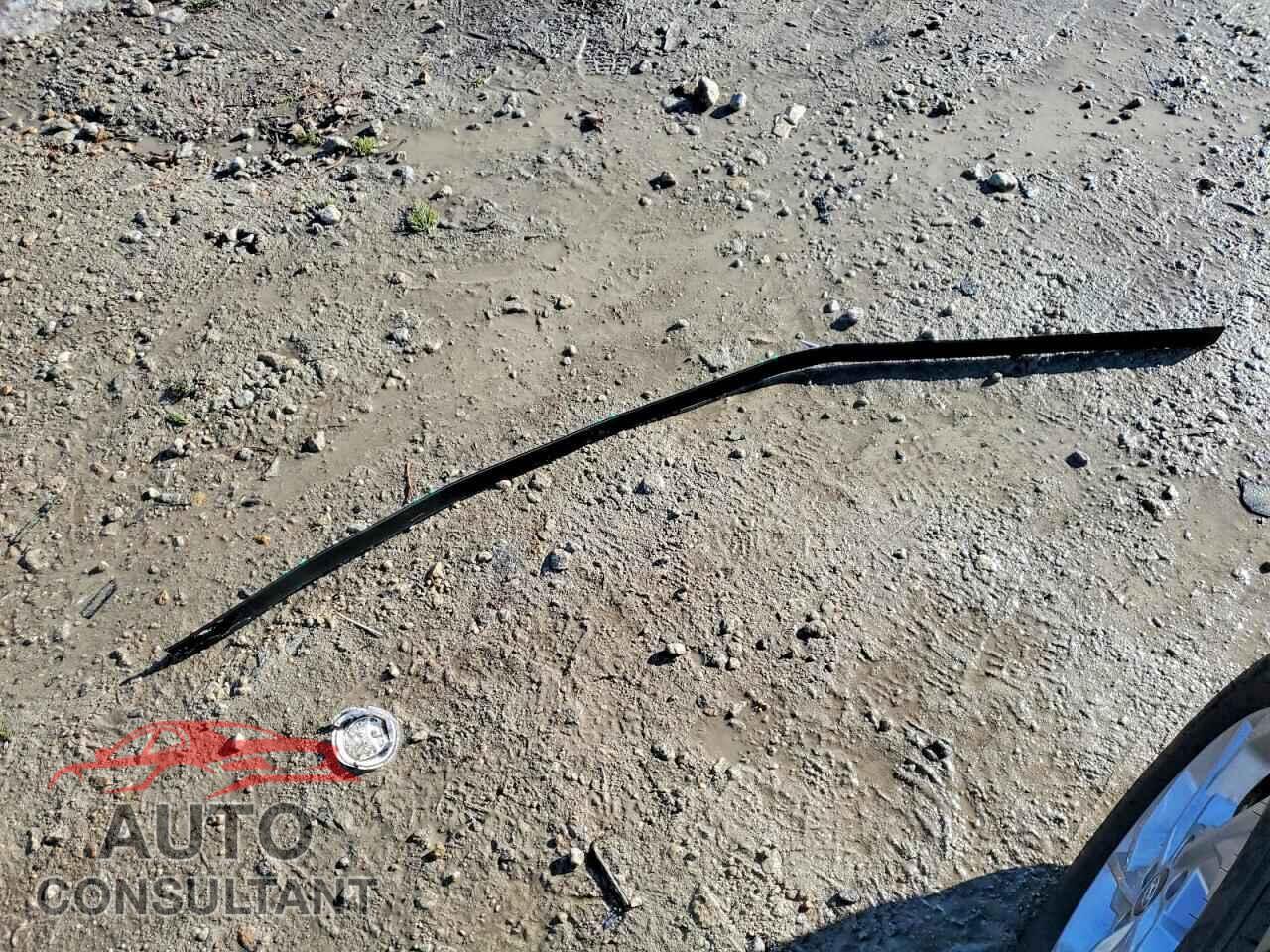 HYUNDAI TUCSON 2024 - 5NMJACDEXRH411203