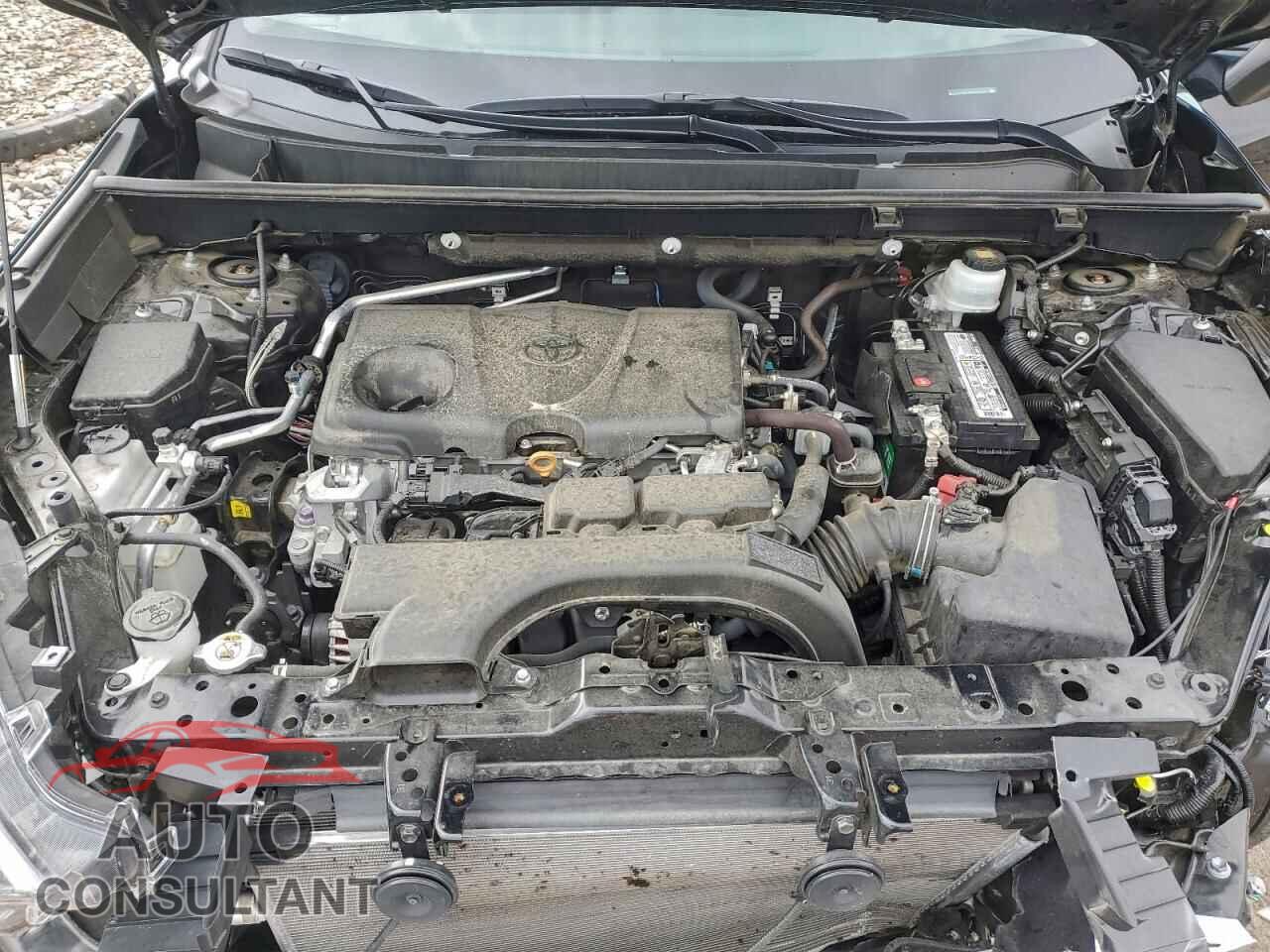 TOYOTA RAV4 2019 - 2T3Y1RFV6KC015271
