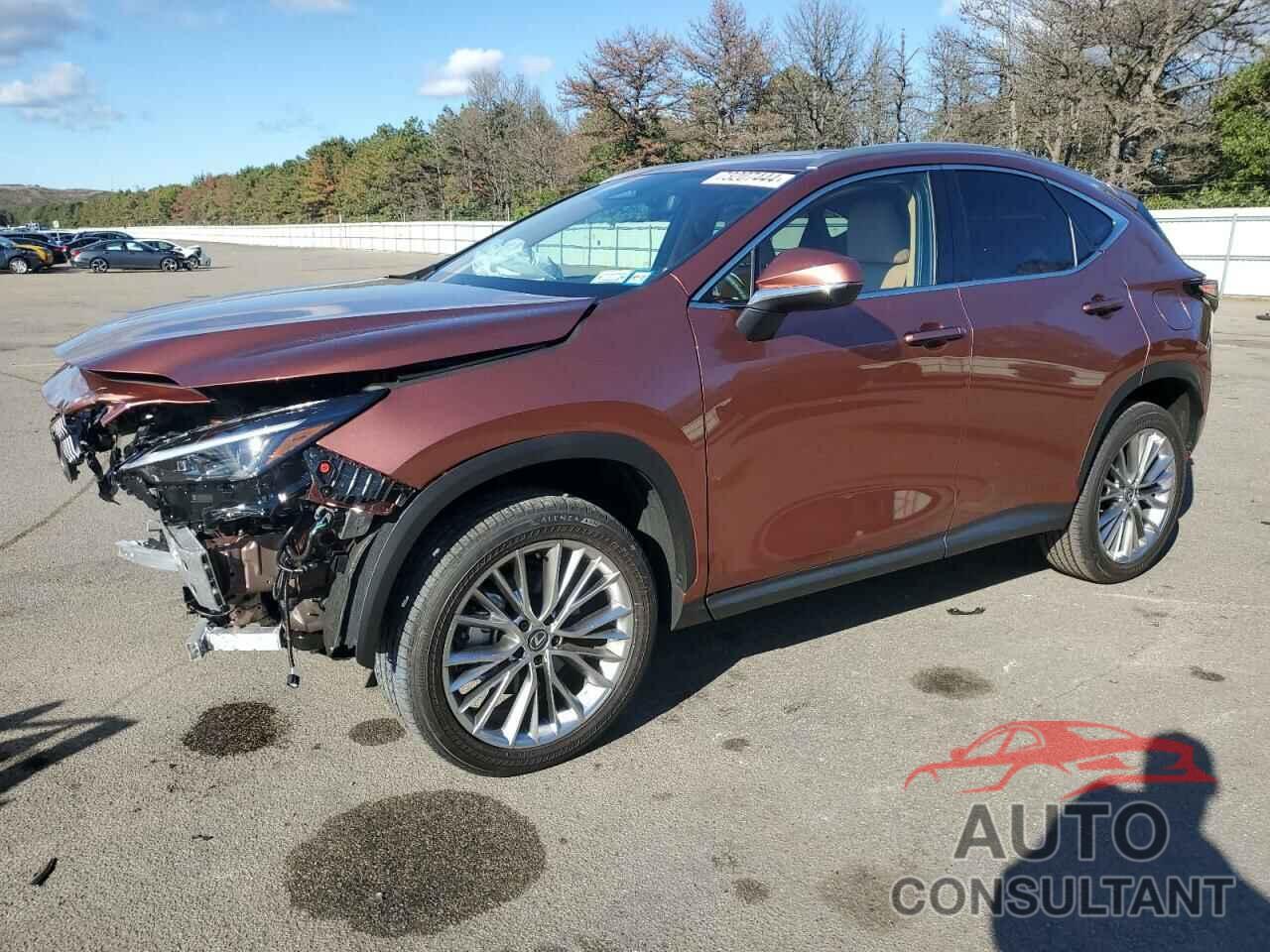 LEXUS NX 350 PRE 2025 - 2T2GGCEZ7SC066651