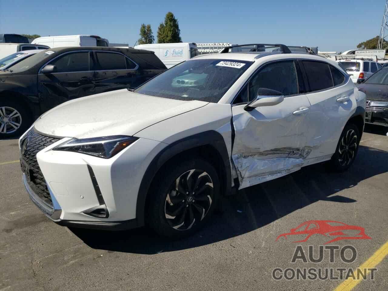 LEXUS UX 250H BA 2024 - JTHX6JBH3R2187983