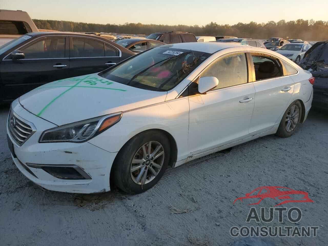 HYUNDAI SONATA 2016 - 5NPE24AF2GH373614
