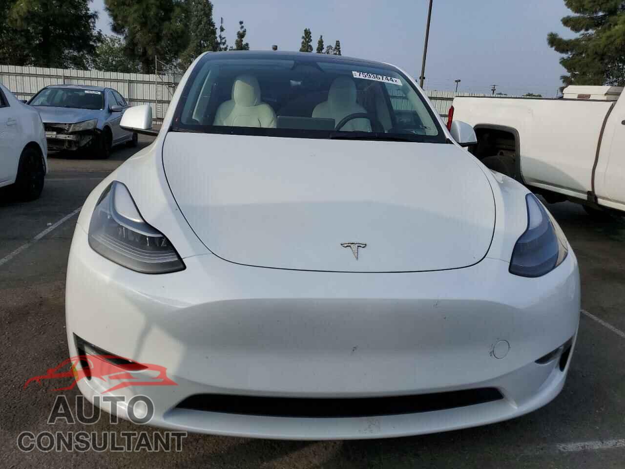 TESLA MODEL Y 2023 - 7SAYGDEEXPF853840
