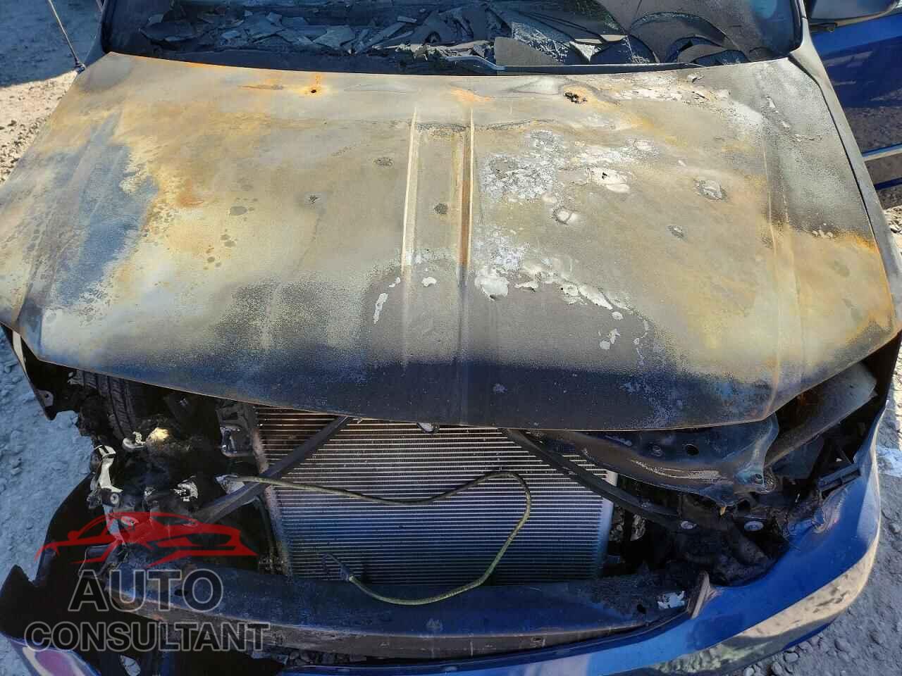 DODGE CARAVAN 2010 - 2D4RN5D13AR169092