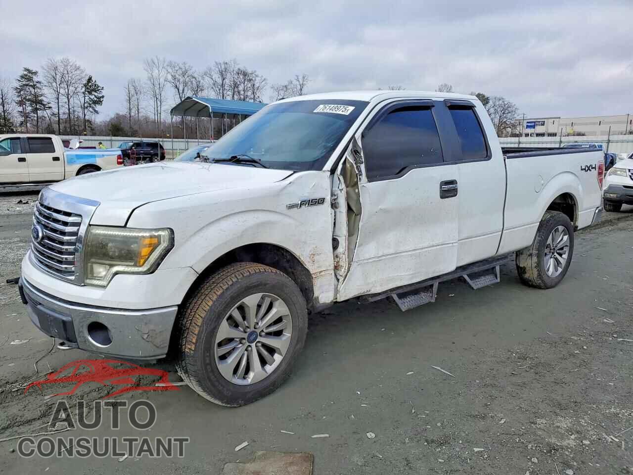 FORD F-150 2011 - 1FTFX1EF1BFA39429