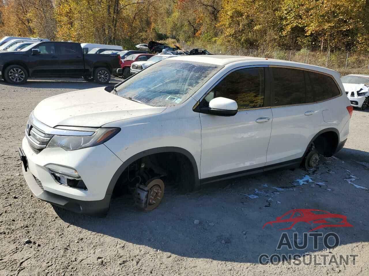 HONDA PILOT 2018 - 5FNYF6H52JB002534