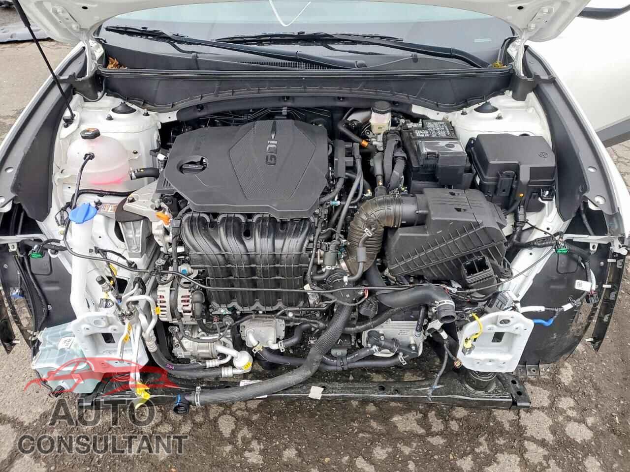 HYUNDAI TUCSON 2024 - 5NMJACDE9RH395995