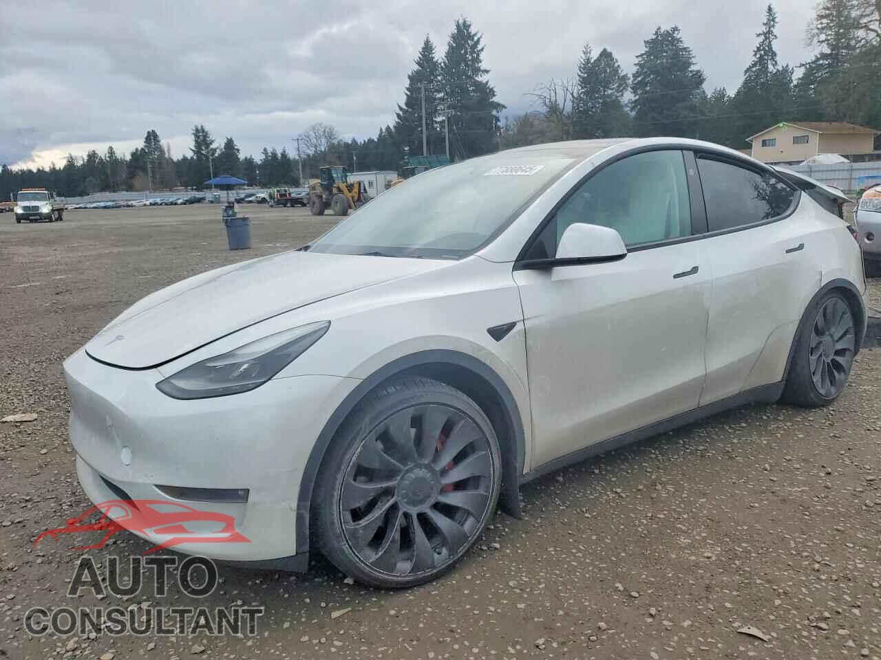 TESLA MODEL Y 2023 - 7SAYGDEF9PF872355