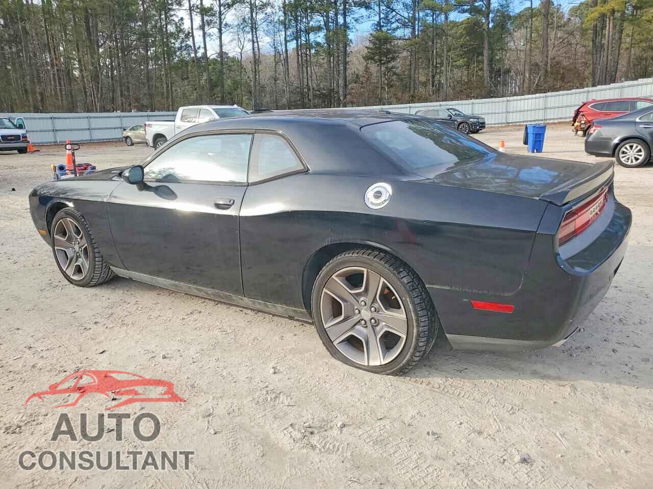 DODGE CHALLENGER 2013 - 2C3CDYBT1DH724910