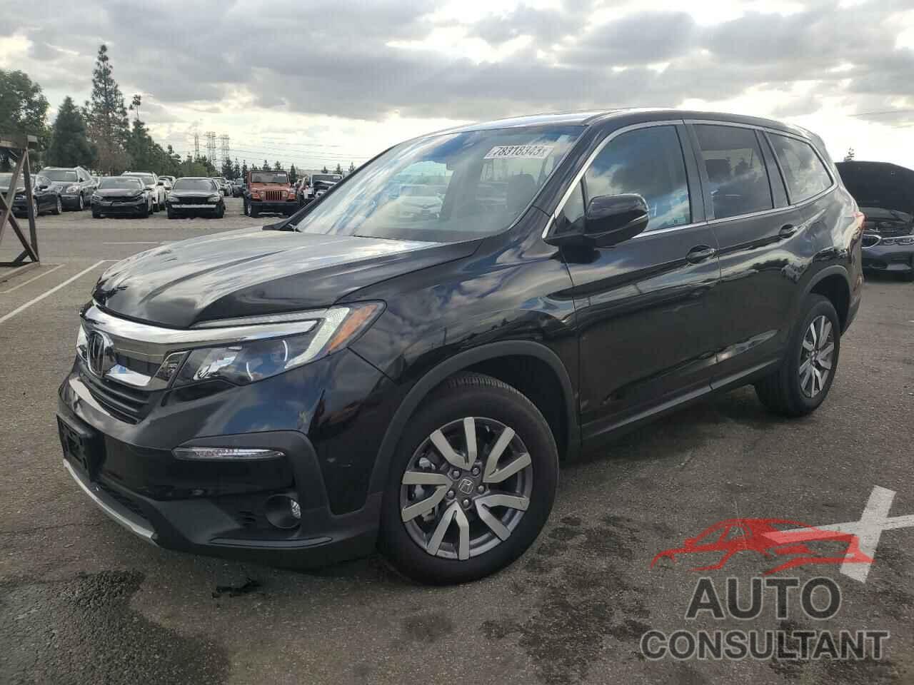 HONDA PILOT 2022 - 5FNYF5H53NB036014