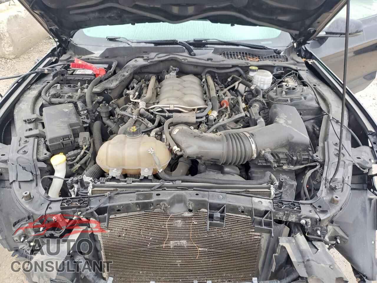 FORD MUSTANG 2019 - 1FA6P8CF4K5125437
