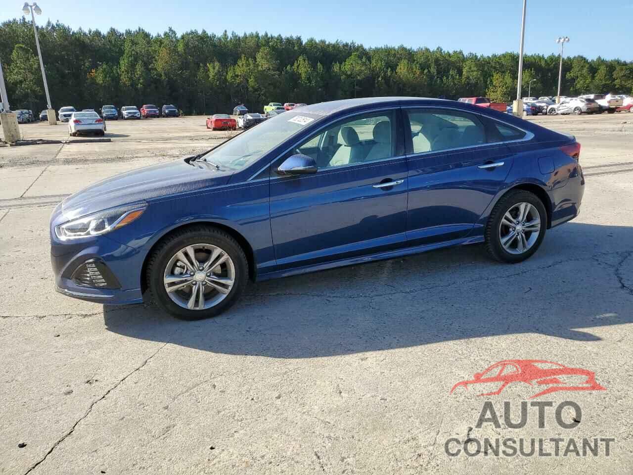 HYUNDAI SONATA 2019 - 5NPE34AF1KH815997