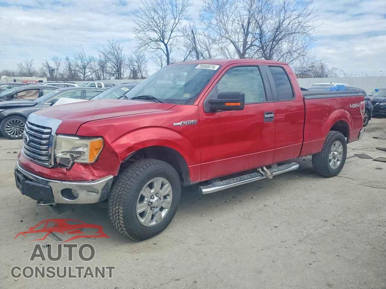 FORD F150 2010 - 1FTFX1EV5AKE75875