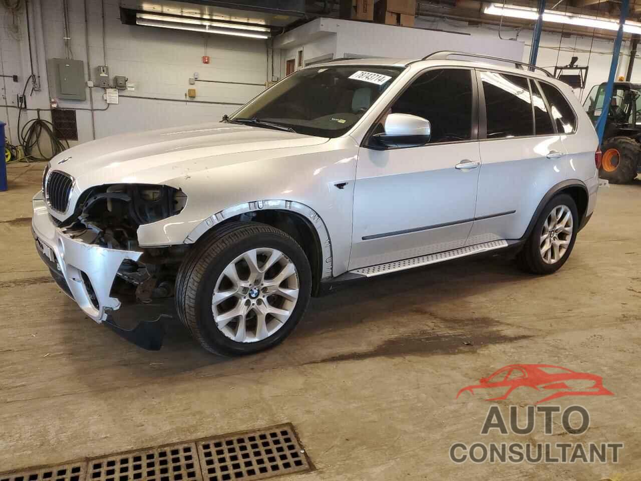 BMW X5 2011 - 5UXZV4C59BL412408