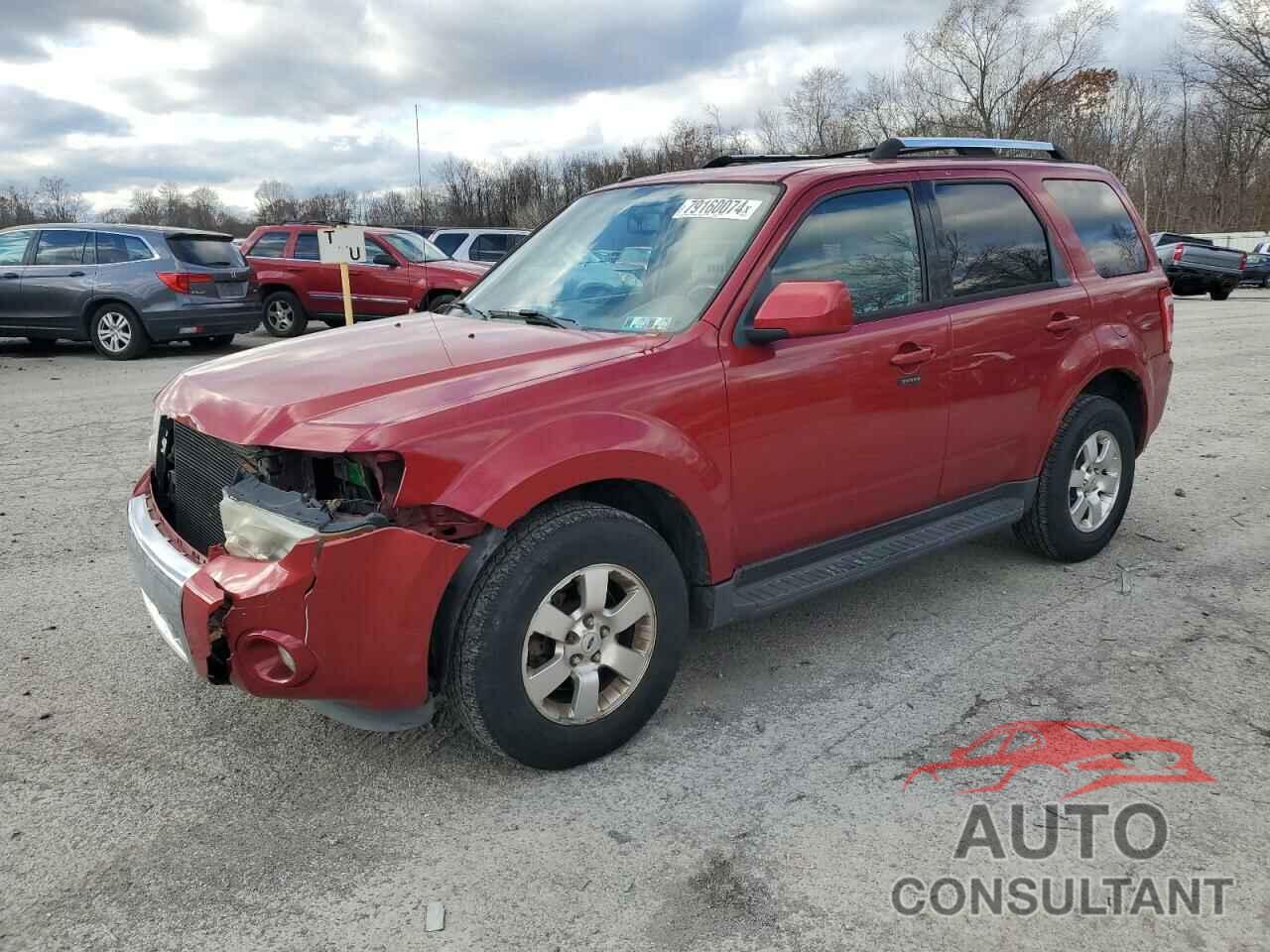 FORD ESCAPE 2011 - 1FMCU9EG3BKB21037