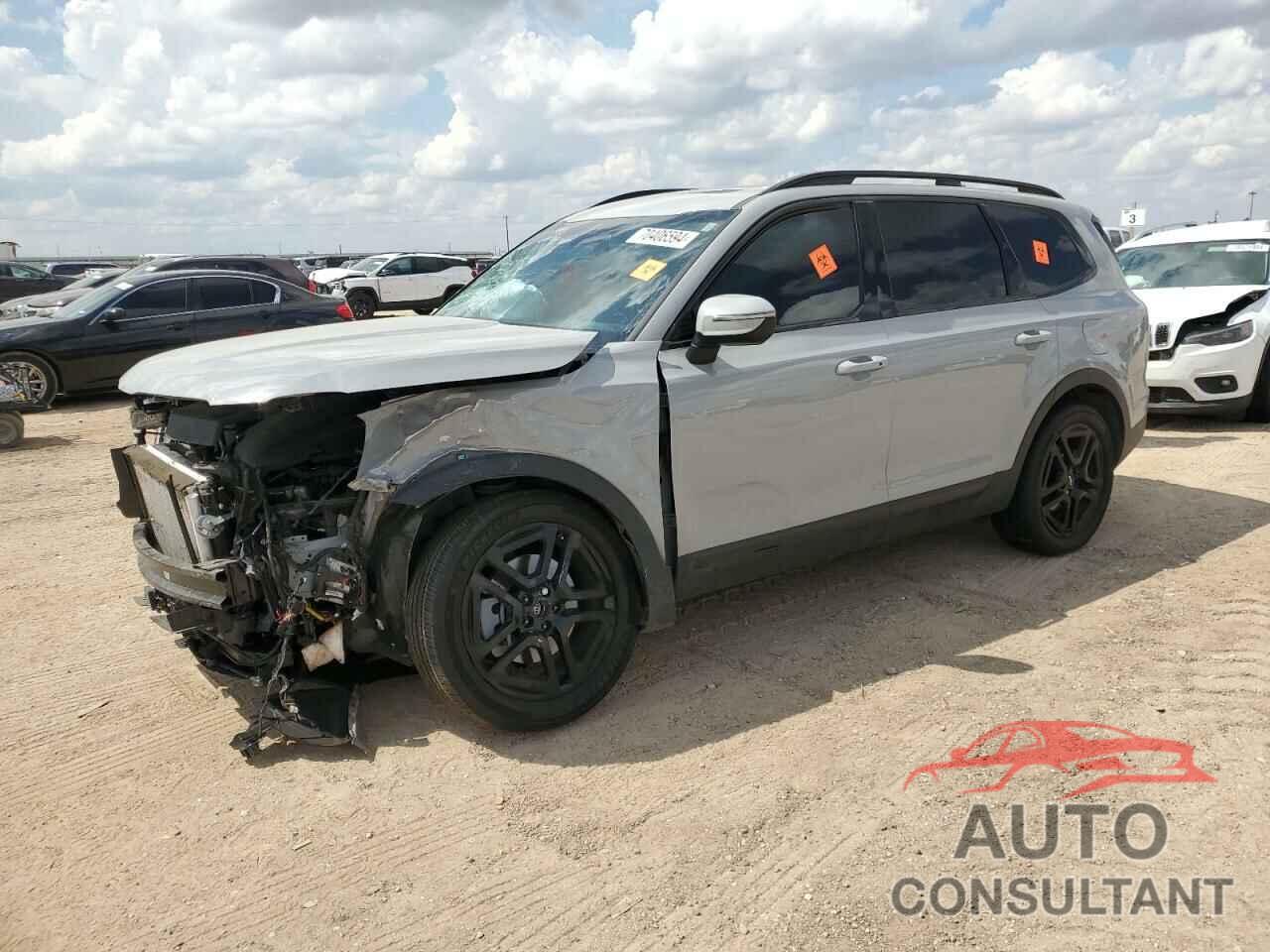 KIA TELLURIDE 2024 - 5XYP3DGC8RG472287